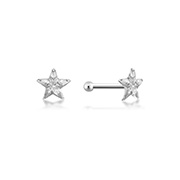 NS-205 - 925 Sterling silver nose stud with plastic&sticker.